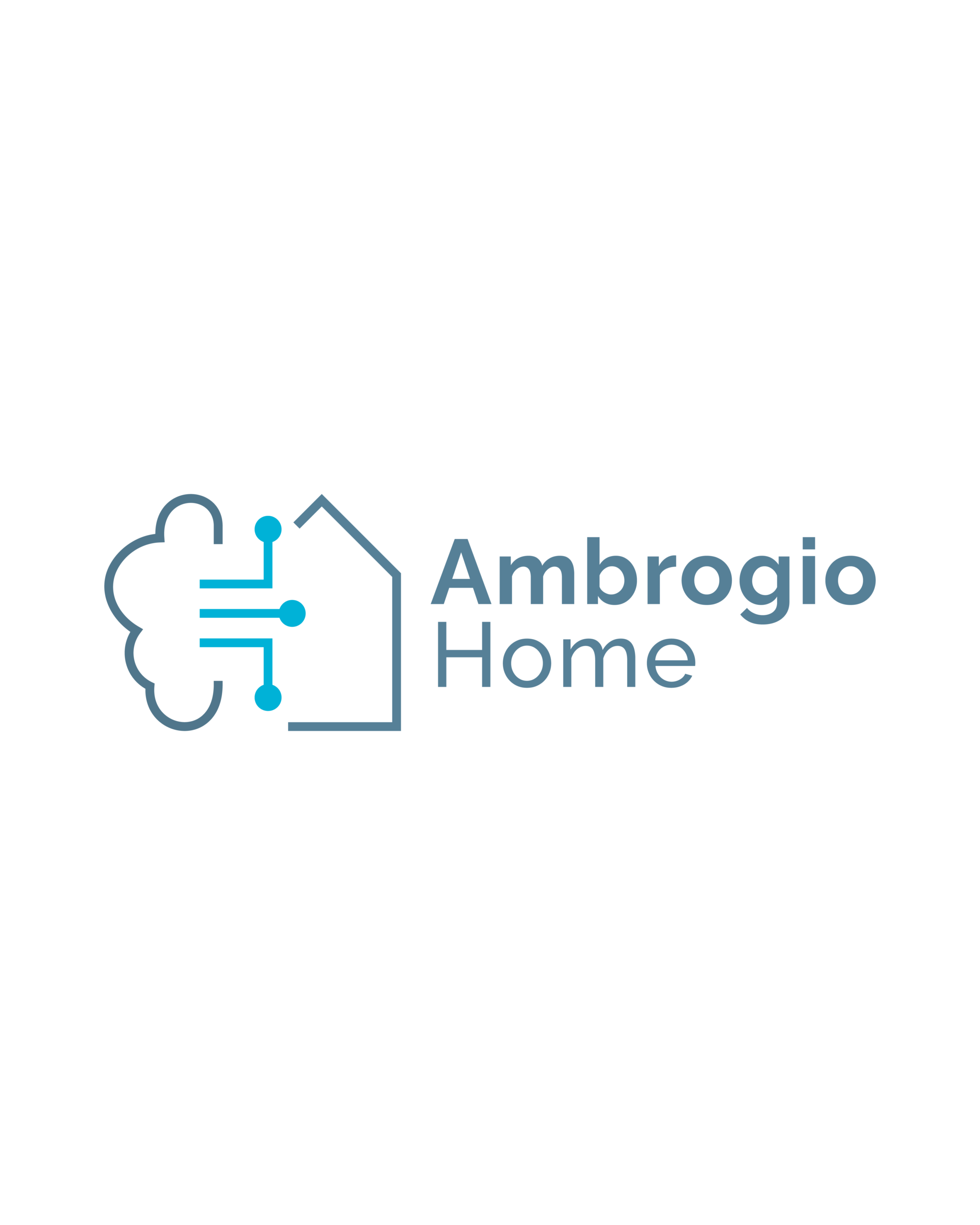 Ambrogio Home
