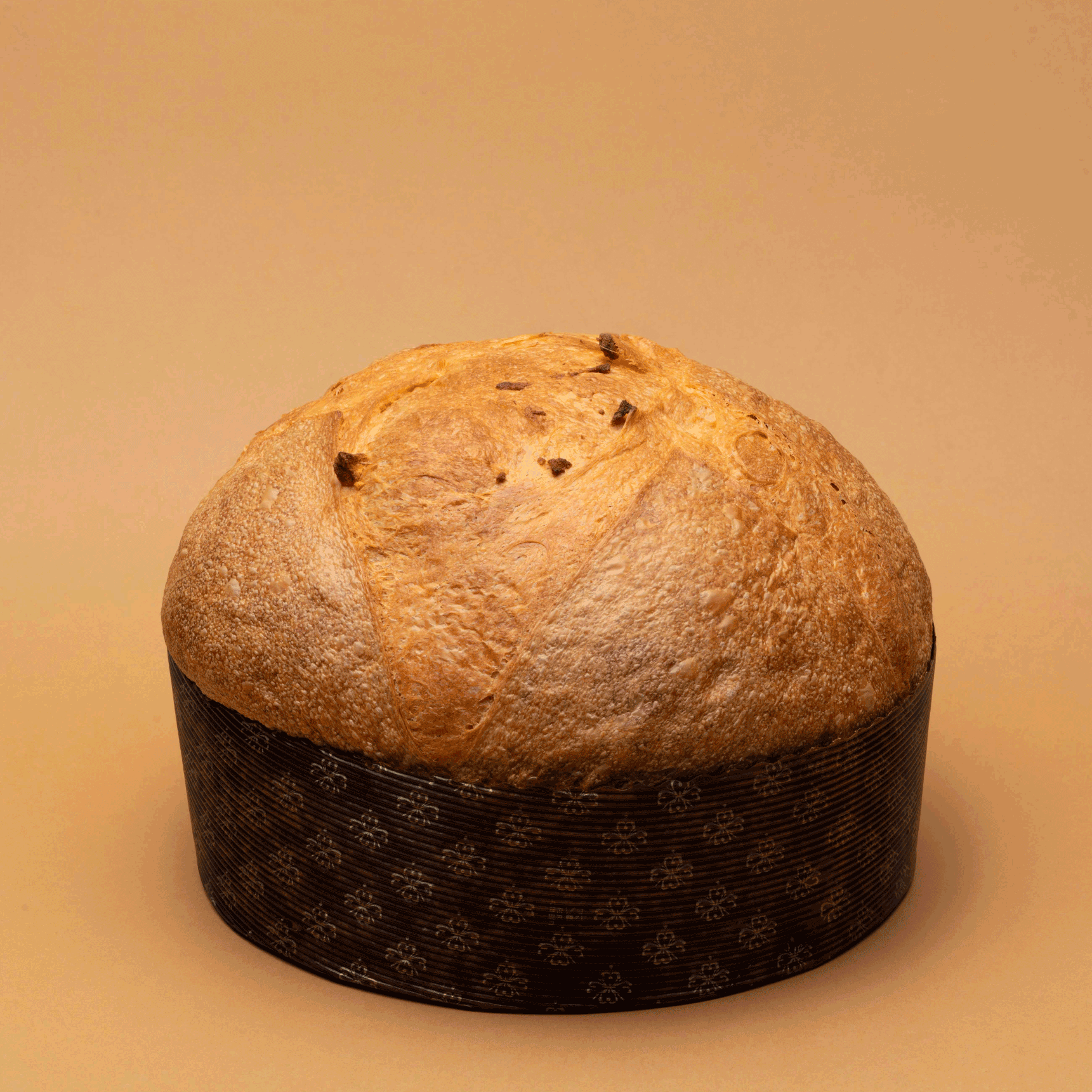 Shooting Tenerità Panettone