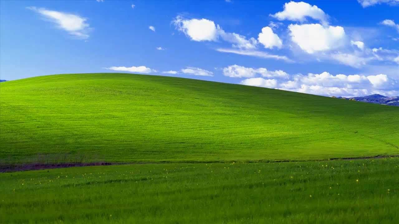 Cinquant’anni di Microsoft